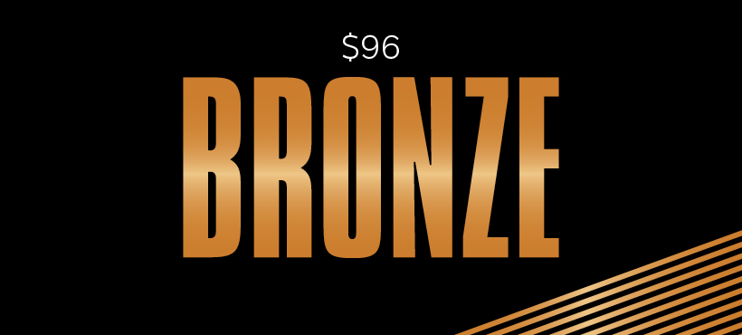 Bronzev2