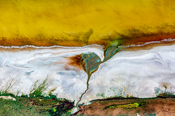 Salton-Sea-9837-Web